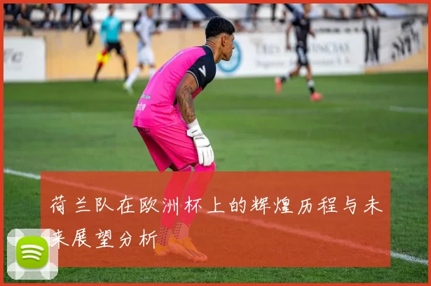 荷兰队在欧洲杯上的辉煌历程与未来展望分析