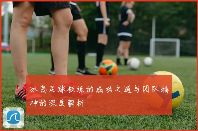 冰岛足球教练的成功之道与团队精神的深度解析