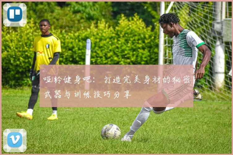 哑铃健身吧：打造完美身材的秘密武器与训练技巧分享