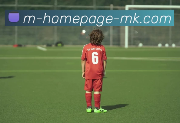 MK体育服务体系